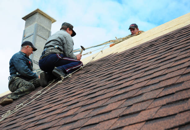 Roof Gutter Cleaning in Olla, LA